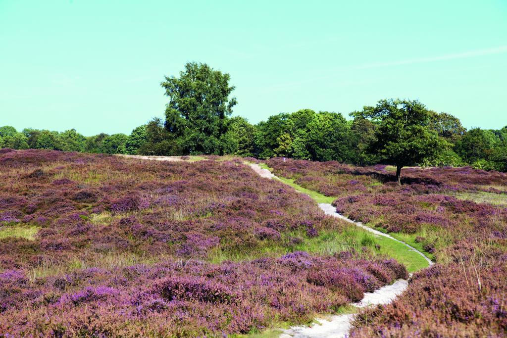 Villapark Akenveen Tynaarlo Buitenkant foto